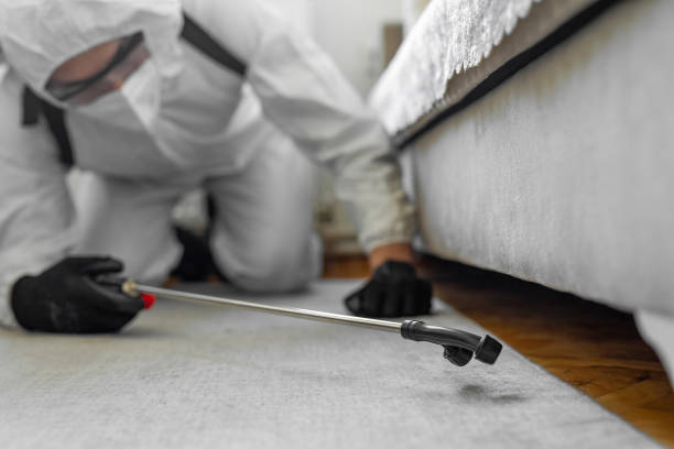 Professional Cockroach Control technician working in Benton, KY