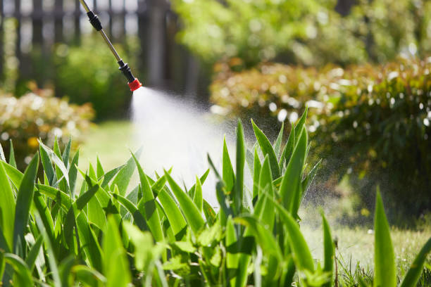 24/7 Emergency Cockroach Control experts in Benton, KY